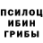 Галлюциногенные грибы MAGIC MUSHROOMS Shakiib Farah