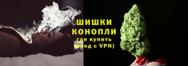 стаф Нефтегорск