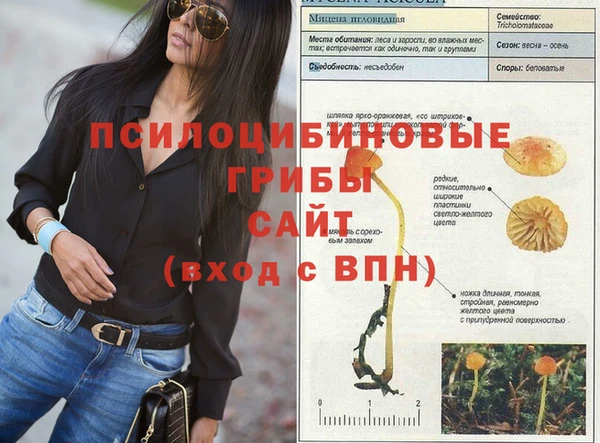 стаф Нефтегорск