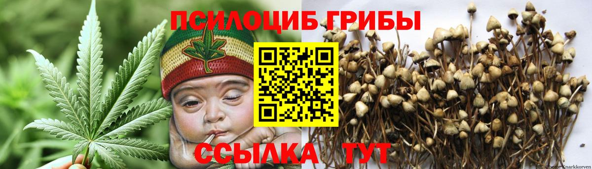 Галлюциногенные грибы Psilocybe  Вход с VPN  Уфа 